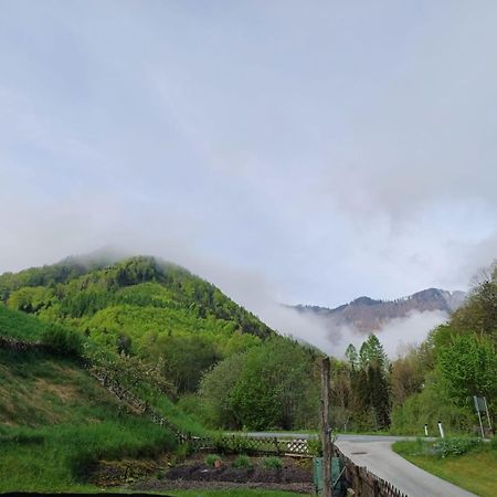 Wohnung Im Nationalpark Kalkalpen 3 Reichraming Eksteriør bilde