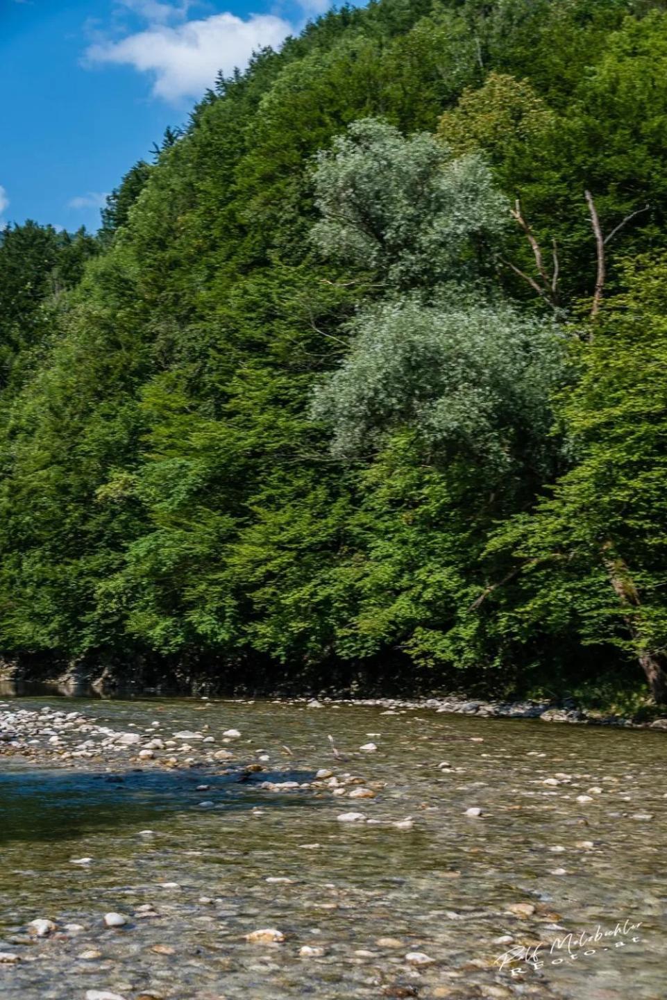 Wohnung Im Nationalpark Kalkalpen 3 Reichraming Eksteriør bilde
